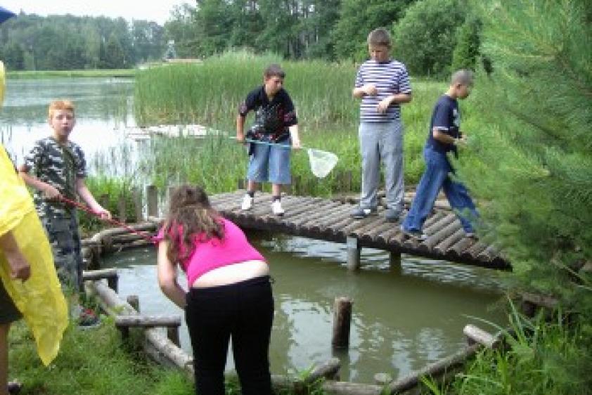 Projekt: Tiere in Teich und Tümpel