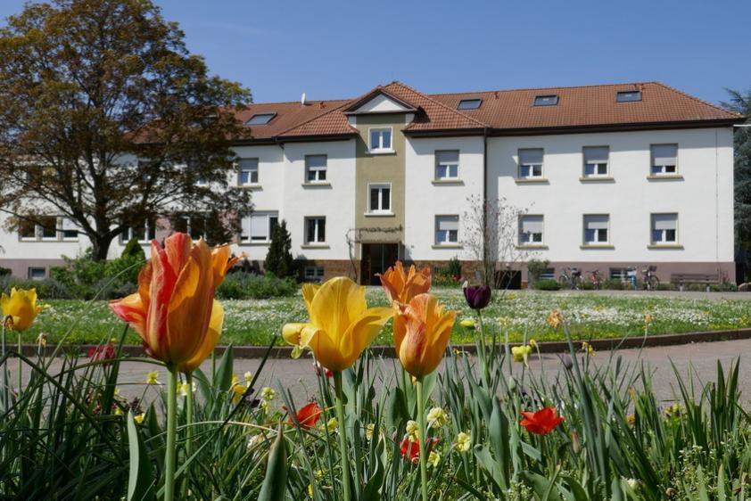 Gästehaus Oase