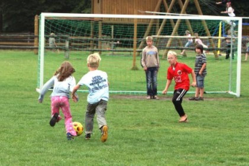 Fußballplatz, Bolzplatz