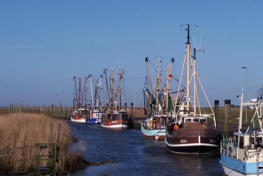 Kutterhafen Spieka-Neufeld