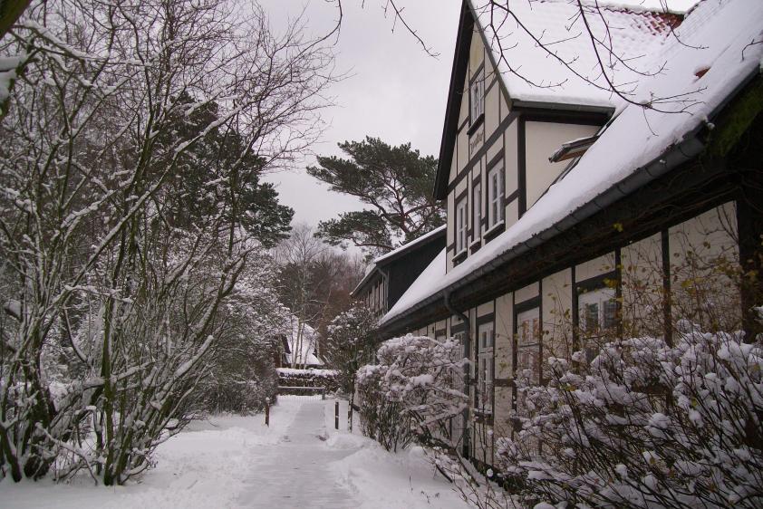 Zingsthof im Winter