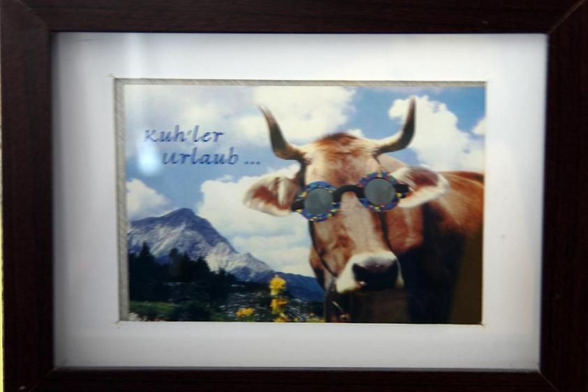 Kuh´ler Urlaub