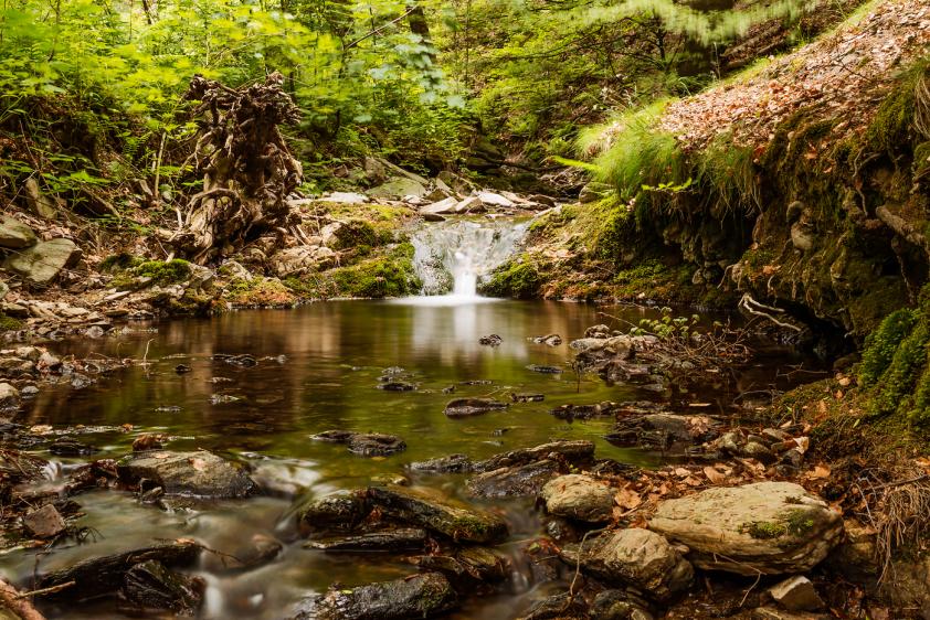 Genießen Sie den Thüringer Wald!
