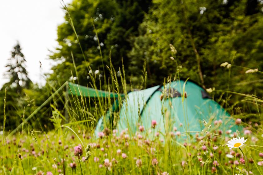 Alle Outdoor- und Campingfreunde sind auf unserem Campingplatz richtig.