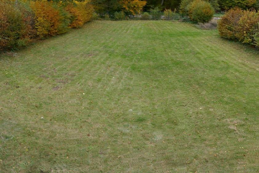 600 m² Wiese, zwischen Wohnhaus und Bach