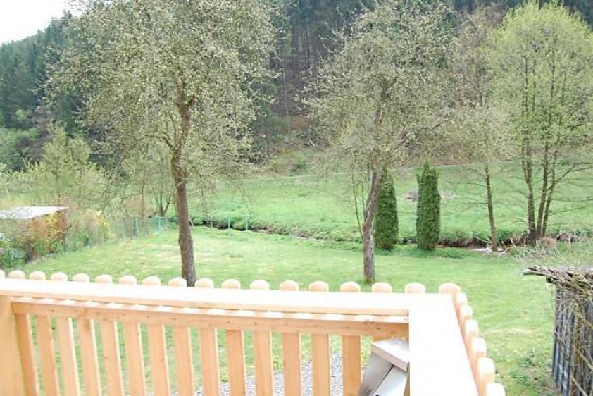 Der Garten mit alten Apfelbäumen