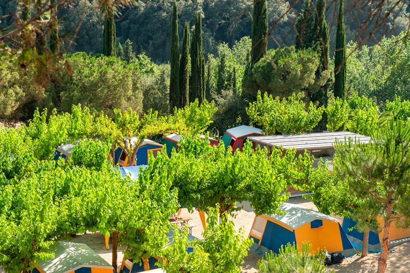 Schattiges Zeltcamp