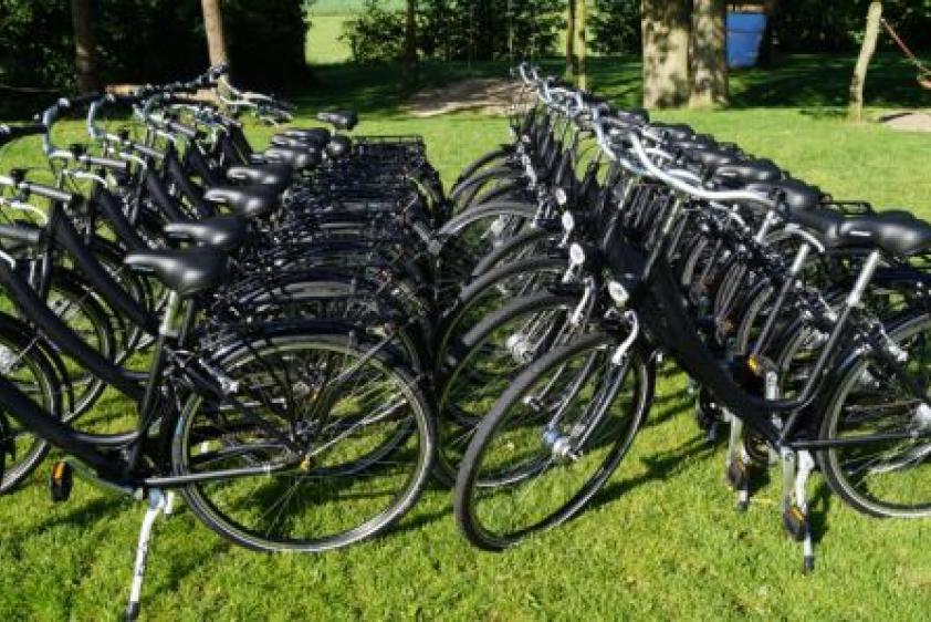 Fahrradverleih für einen Ausflug in die Umgebung