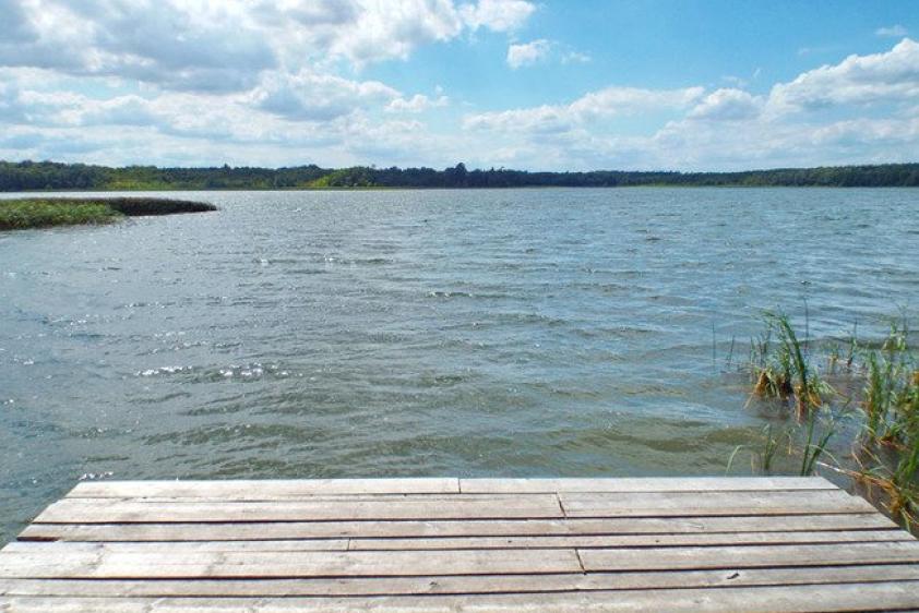 Steg am Kleinpritzer See (500 m entfernt)