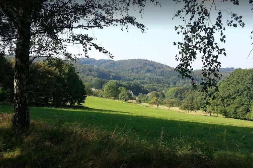 Umgebung