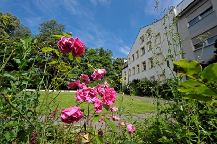 Garten