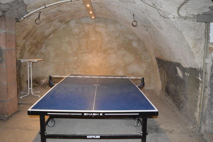 Tischtennisplatte