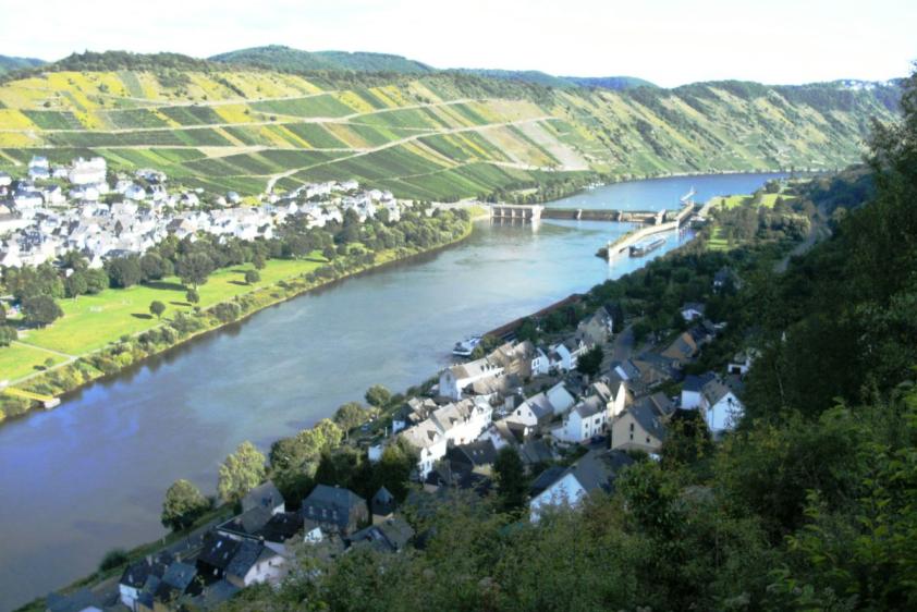 Blick ins Moseltal Kövenig