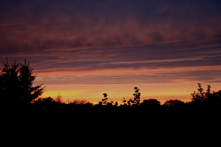 Abendstimmung