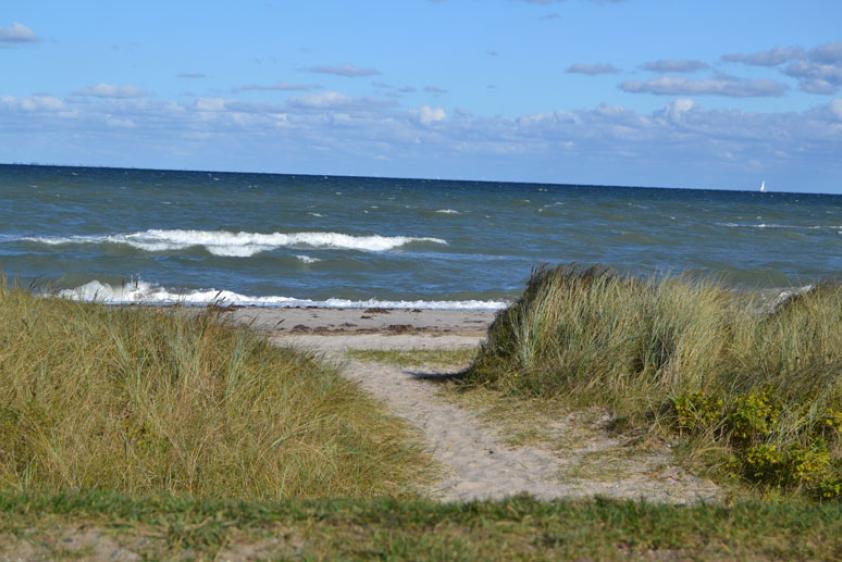 Am Strand beim Gruppenhaus Maasholm