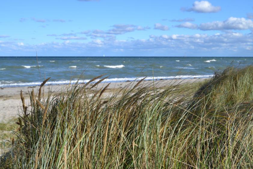 Am Strand beim Gruppenhaus Maasholm