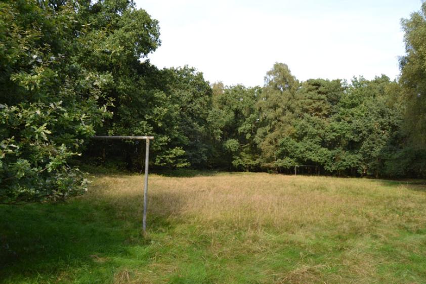 Bolzwiese