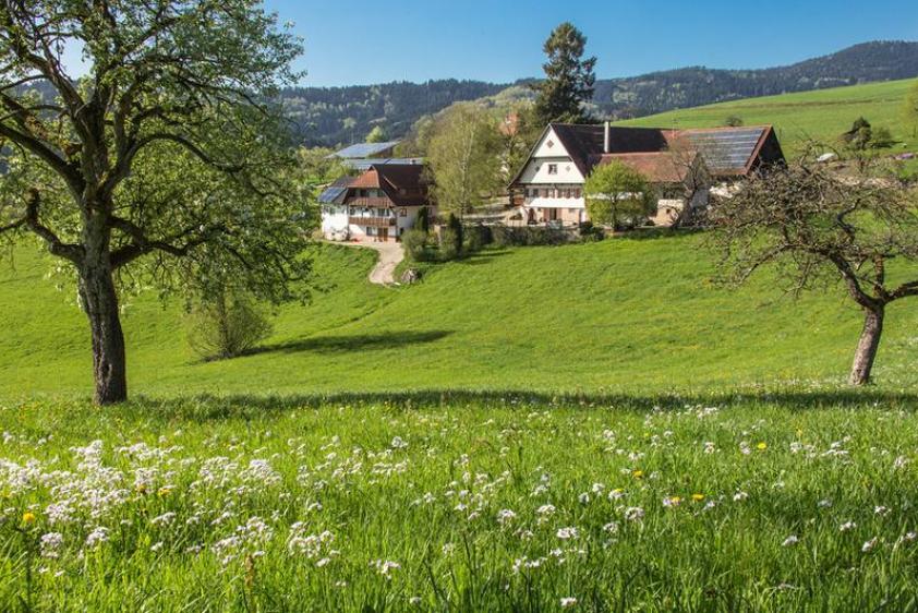 Breigenhof