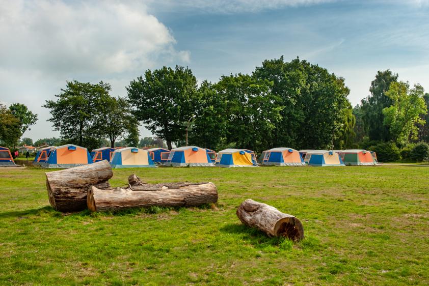 Camp