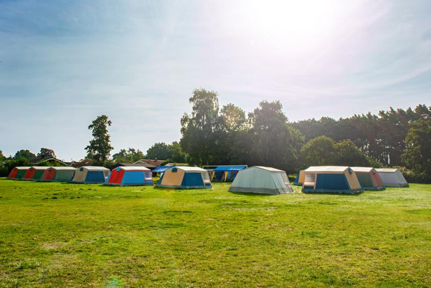 Camp