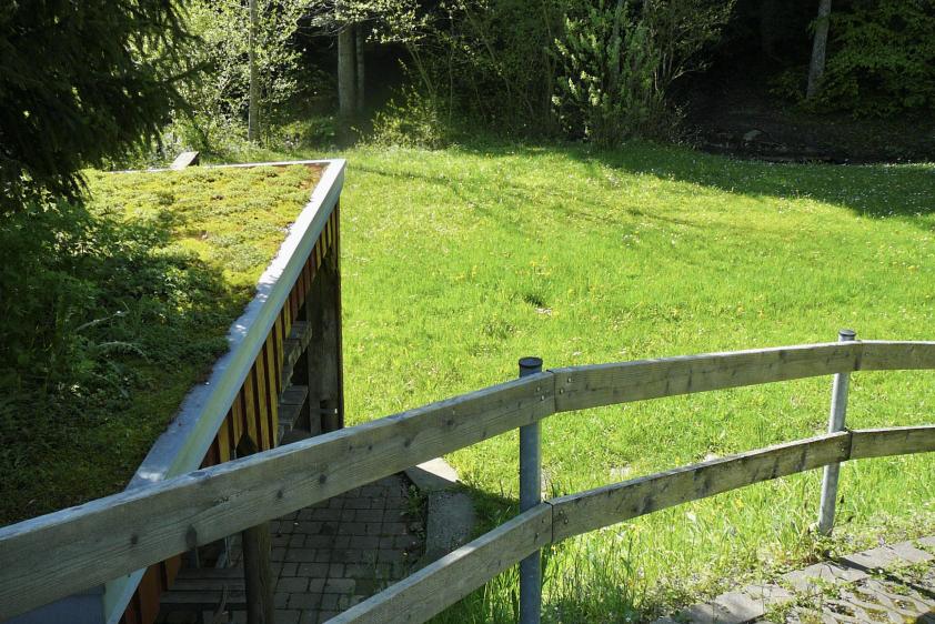 Spielwiese am Bach