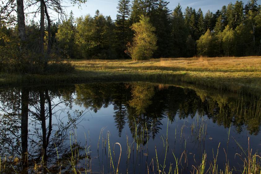 Hochmoor