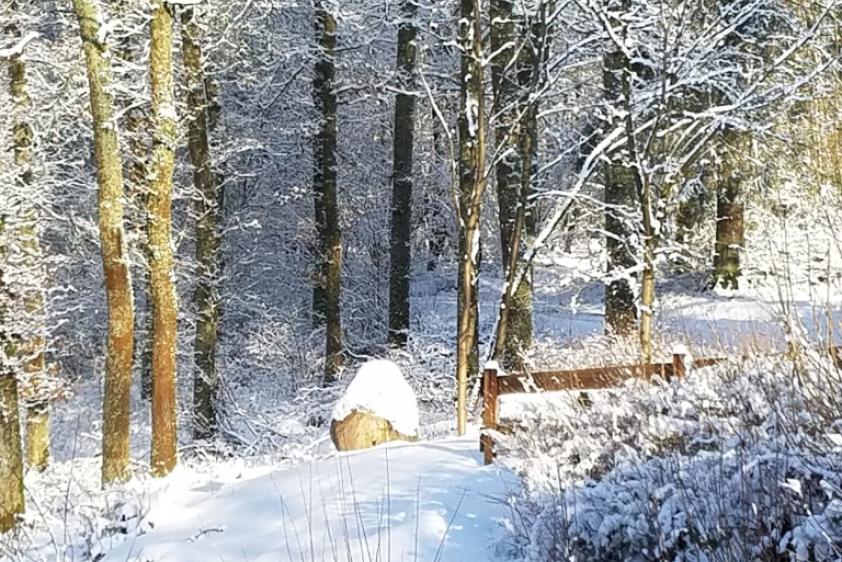 Winterstimmung