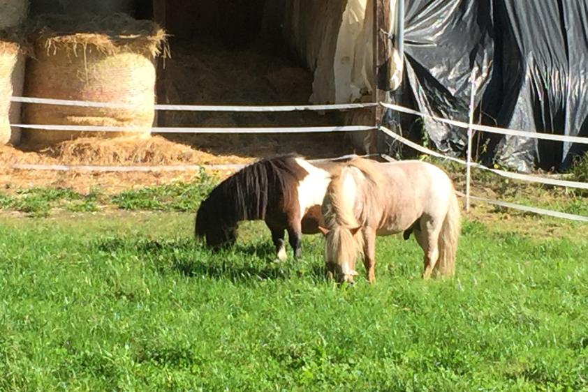 Aaron und Ramazotti