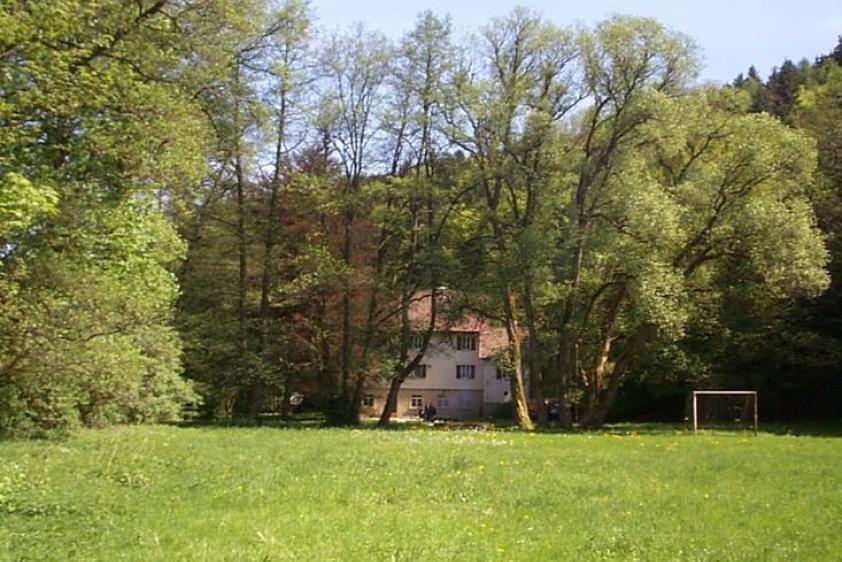 Spielwiese