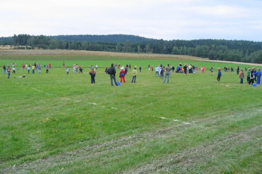 Spielwiese