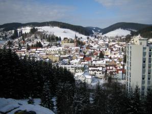 Furtwangen im Winter