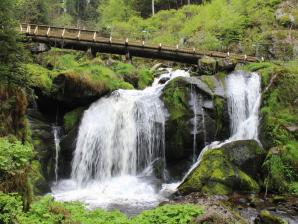 Triberger Wasserfälle