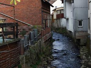 Die Fulda in Gersfeld