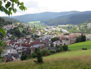 Furtwangen im Schwarzwald