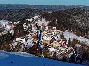 Blick vom Glockenberg auf Ortsteil Schwalbenherd von Sankt Andreasberg. Im Hintergrund der Acker-Höhenzug.