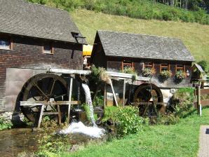 Hexenlochmühle