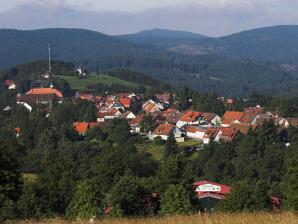 Der Glockenberg und die Oberstadt von Sankt Andreasberg, aufgenommen von der Jordanshöhe.