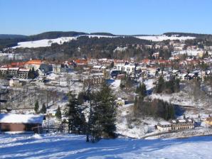 Südansicht vom Matthias-Schmidt-Berg im Winter