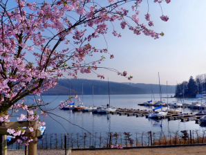Frühling am Sorpesee