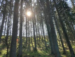 Wandern in Winterspelt