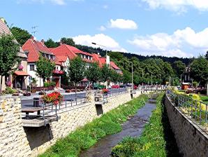 Blick auf die Kurpromenade an der Gottleuba im Kneipp-Kurbad Berggießhübel