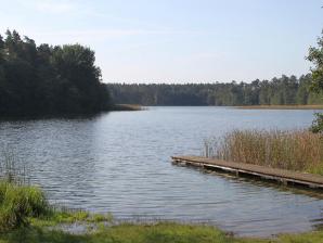 Waschsee, Blick von der Badestelle am Nordufer