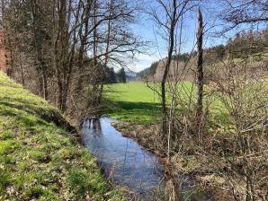 Wandern in Winterspelt