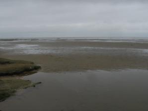 Dirk Ingo Franke, lizenziert CC BY 3.0 Wikimedia Salzwiesen und Wattenmeer bei Westerhever