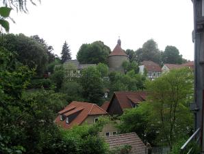 Blick auf den Burgberg (Wartberg)