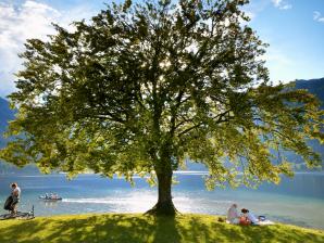 Bohinj, die ideale Wahl für Naturliebhaber