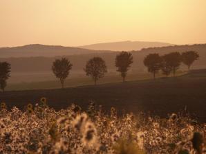 Jan Stubenitzky, lizenziert CC BY-SA 3.0 Wikimedia Blick vom Roten Uferberg über das Gartetal