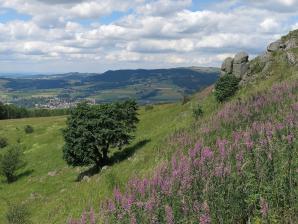 Wandern in Gersberg Simmelsberg