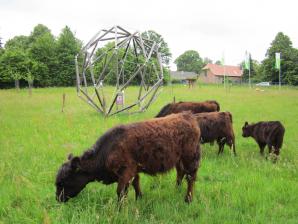 ... davor weidende Galloway-Rinder auf der Wiese