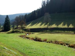 Die Urach im Urachtal